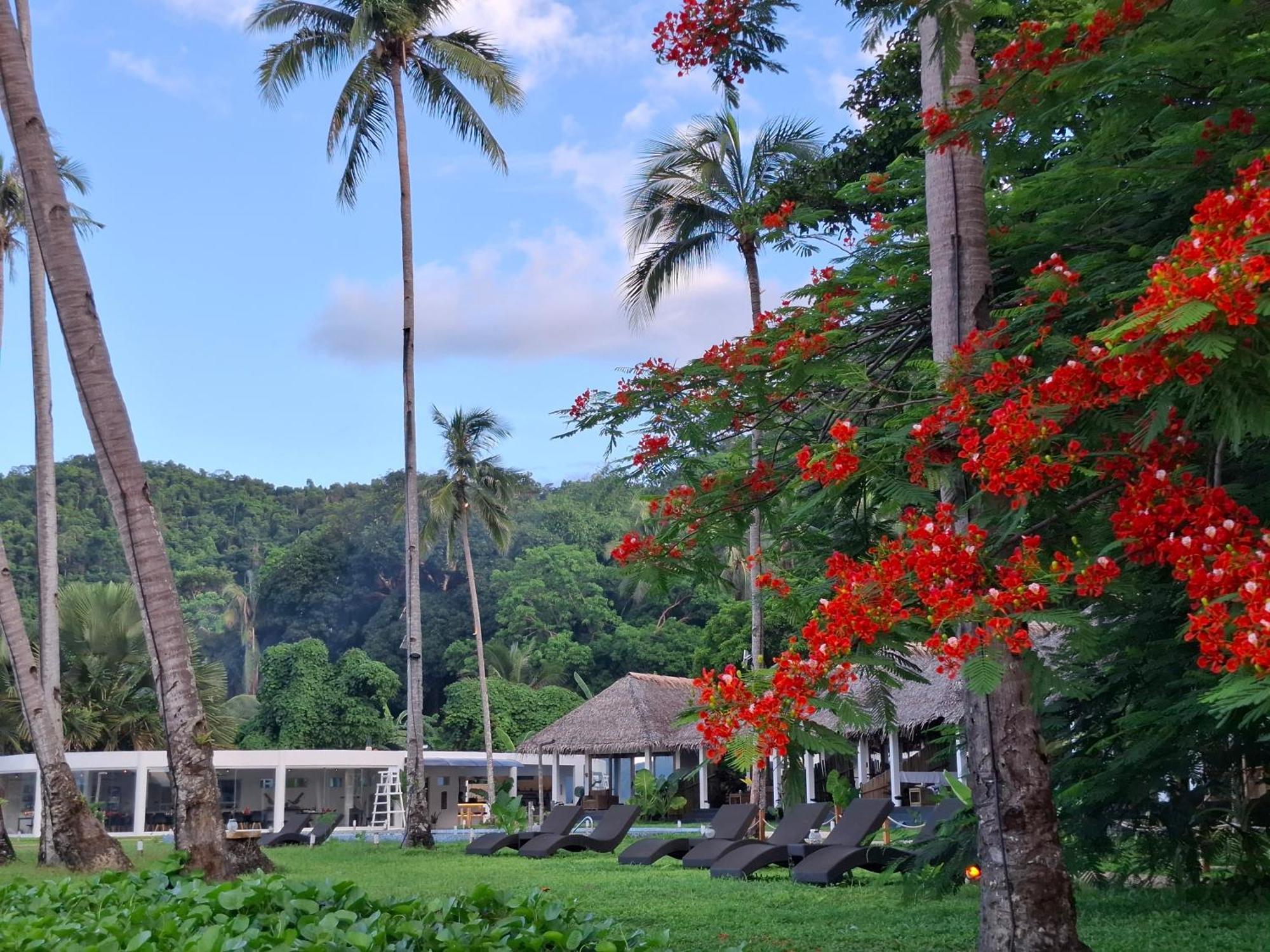 Bebeladan Beach Resort, In The Last Indigenous Corner El Nido Exterior foto